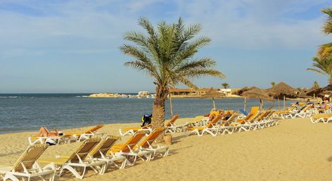 Monarque Dar Jerba Narjes