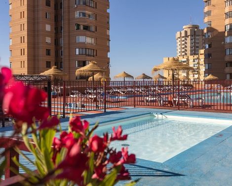 Las Palmeras Affiliated by FERGUS-3