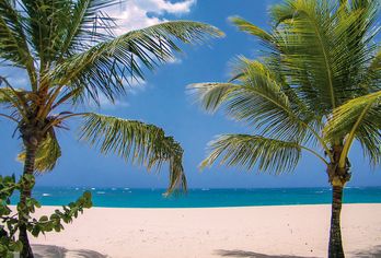 Hotel, Viva Heavens by Wyndham, A Trademark All Inclusive