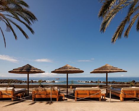 Saccharum Resort-1