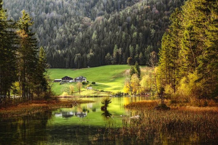 Der Bayerische Wald mit einem See, umgeben von grünen Bäumen und Bergen.
