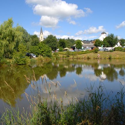 Blick auf Thalfang