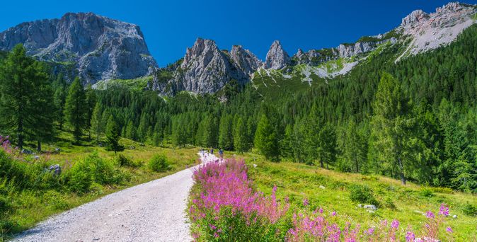 Eine Berglandschaft mit grünen Wiesen und einem Tal.