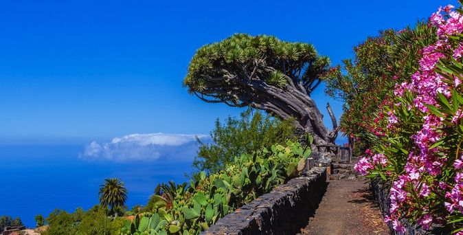 La Palma