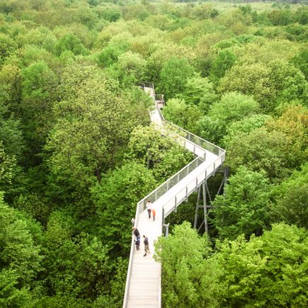 Familienurlaub Aktivurlaub Baumkronenpfad Hainich