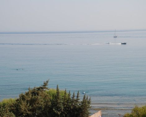 Albatros Spa & Resort Hotel-3