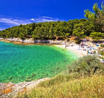 Ein Sandstrand mit türkisblauem Wasser und grüner Vegetation.