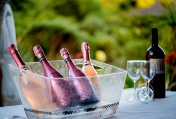 Hotel, Hotel Bonalba Alicante