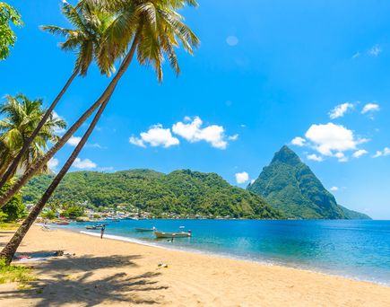 Ein tropischer Strand mit Palmen und türkisfarbenem Wasser.