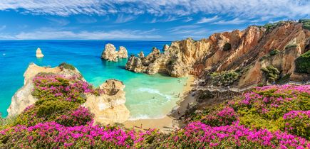 Bucht an der Algarve, Blick über bunte Vegetation auf das blaue Meer