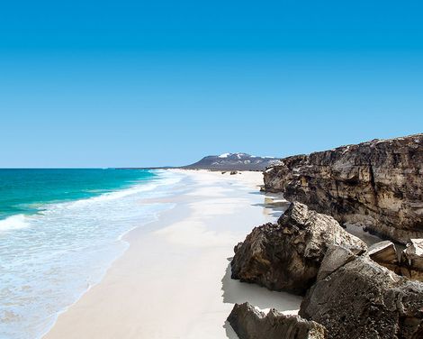 Occidental Boa Vista Beach-1