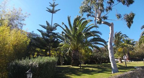 La Palma Romantica