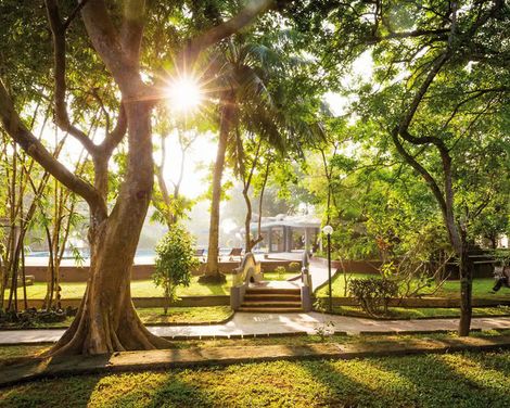 Siddhalepa Ayurveda Health Resort-4