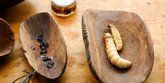 Traditionelles australisches Bush Food mit Witchetty-Raupen 