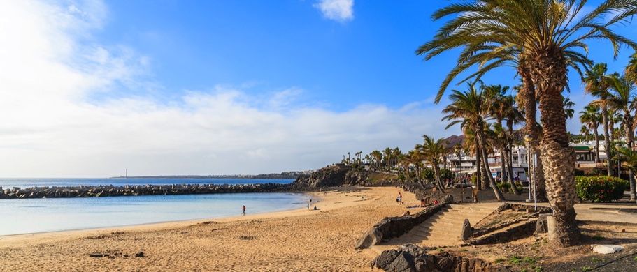 Palmen am Flamingo Strand