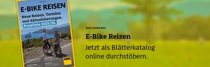 ebike