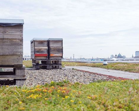 Scandic Berlin Potsdamer Platz-2