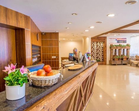 Hotel Enziana Wien-3