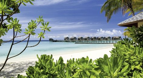 Centara Ras Fushi Resort & Spa Maldives