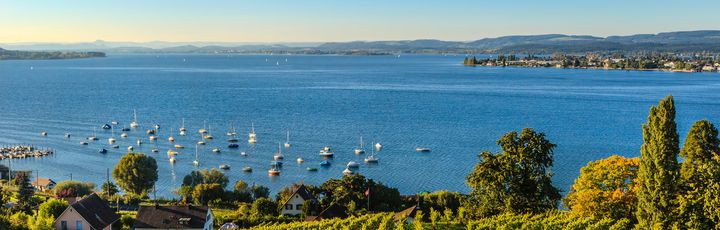 Eine weite Landschaft mit Weinbergen am Ufer eines großen Sees, blauer Himmel. Bodensee.