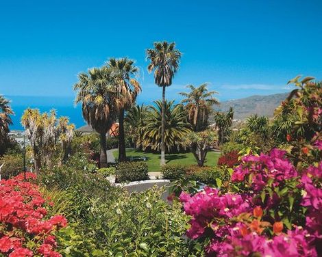 La Palma Jardin-4