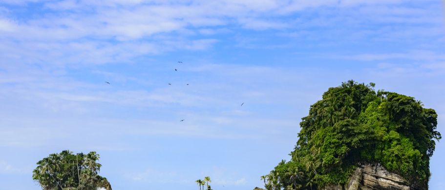 Isla Pajaros