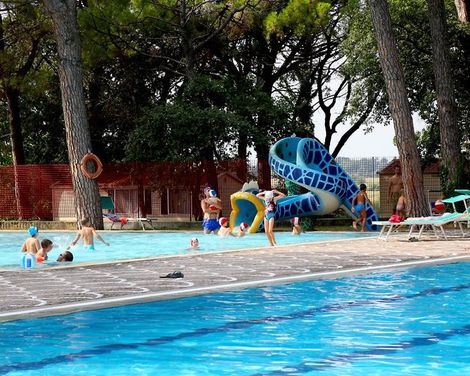Belvedere Pineta Camping Village -4