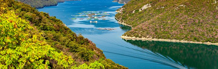 Bliuck auf das Limski Fjord