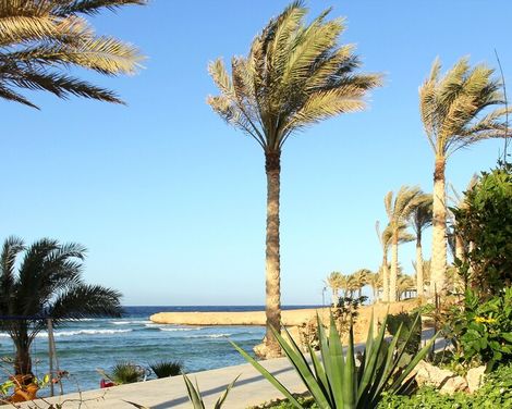 Royal Brayka Resort-3