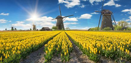 Niederlande
