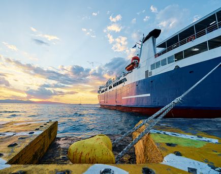 Blick auf ein gedocktes Kreuzfahrtschiff