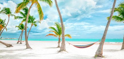 Ein tropischer Strand mit Palmen und Liegestühlen.