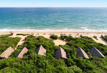 Hotel, Uga Jungle Beach