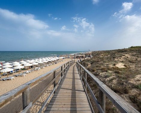 Hotel Playas de Guardamar-3