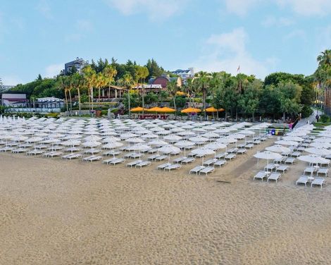 Arum Barut Collection-3