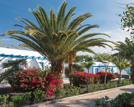 Elba Premium Suites-3