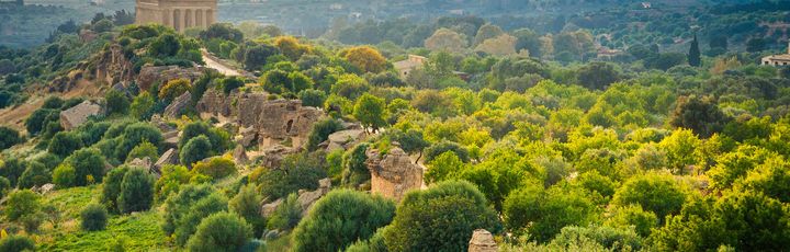 Eine Landschaft mit Ruinen auf einem Hügel.