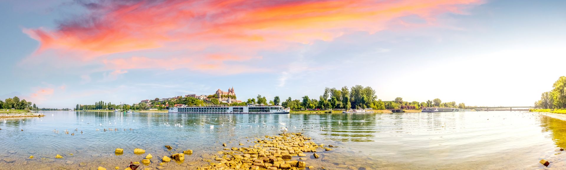 Flusskreuzfahrtschiff vor der Altstadt von Breisach am Rhein