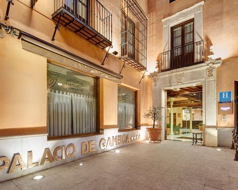 Hotel Sercotel Palacio de los Gamboa-2