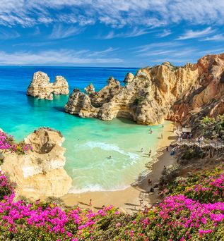 Traumhafte Landschaft an der Bucht Praia do Camilo mit pinken Blüten und Blick auf einen weißen Sandstrand
