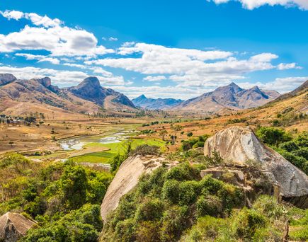 Naturschutzgebiet Madagaskar. Viele Pflanzen, kleine Wege, Berge und blauer Himmel im Hintergrund.