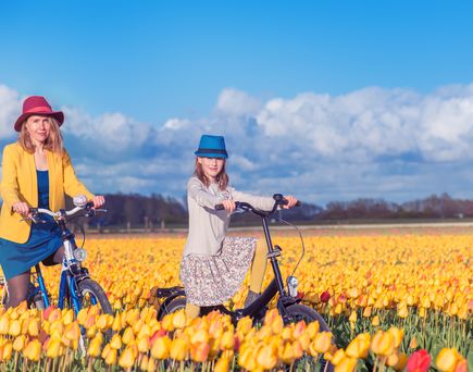 Mutter und Kind mit Fahrrad im Tulpenfeld