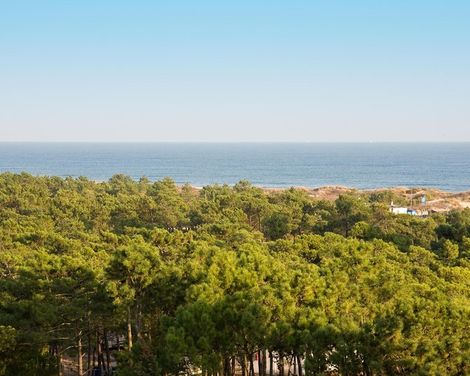 Monte Gordo Hotel Apartamentos & Spa-0