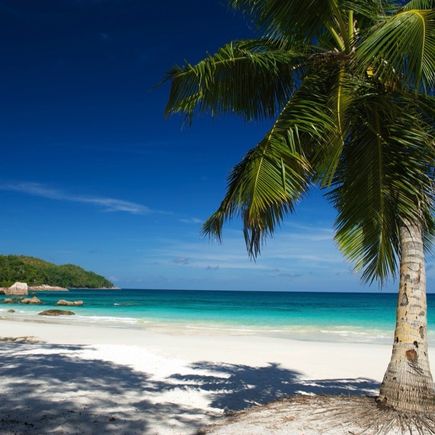 Anse Lazio, Insel Praslin