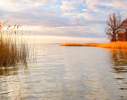 Ein See bei Sonnenuntergang mit warmem Licht, das sich im Wasser spiegelt, Bäume am Ufer.