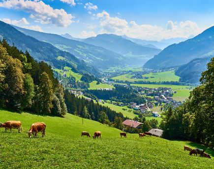 Ausblick über Dorf im Zillertal