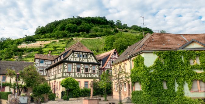 Eine malerische Szene in Heppenheim, Deutschland, mit einem Weinberg, der sich einen steilen Hang hinaufzieht, und einer historischen Burgruine auf dem Gipfel unter einem bewölkten Himmel.