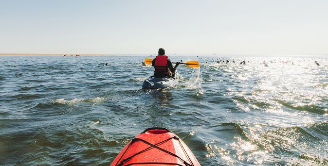 Kajaktour zur Walvis Bay Lagune