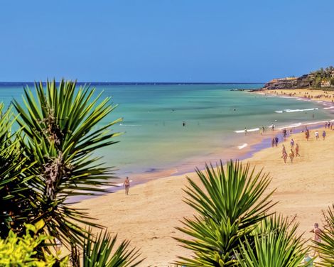 SBH Hotel Taro Beach-1