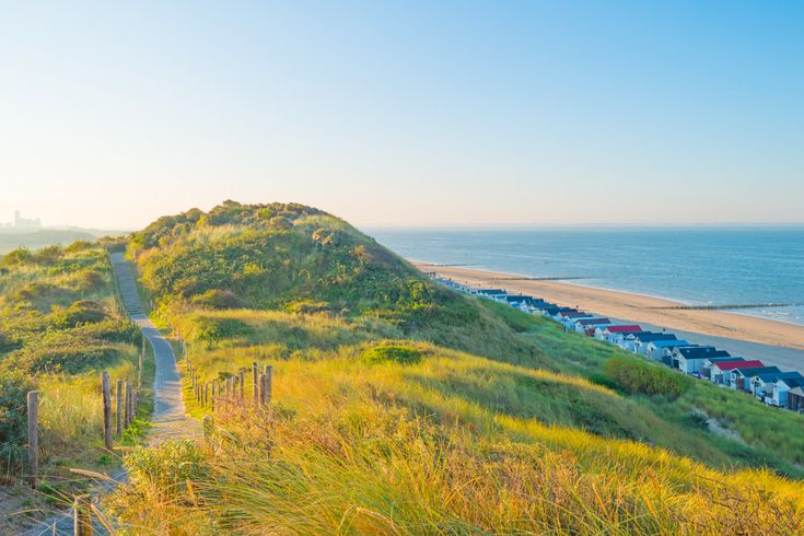 Eine hügelige Landschaft mit Gras und einem Fluss oder Meer.